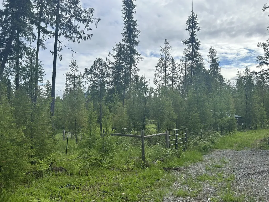 58 Ridge Loop Road Trout Creek MT 59874
