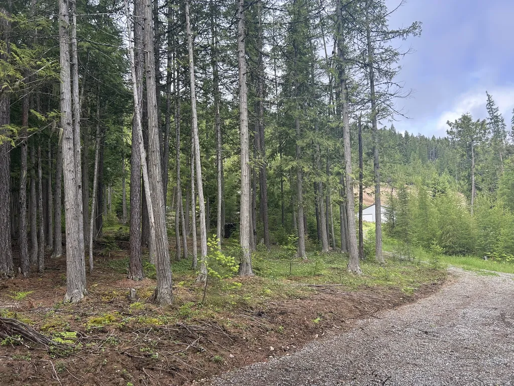 58 Ridge Loop Road Trout Creek MT 59874