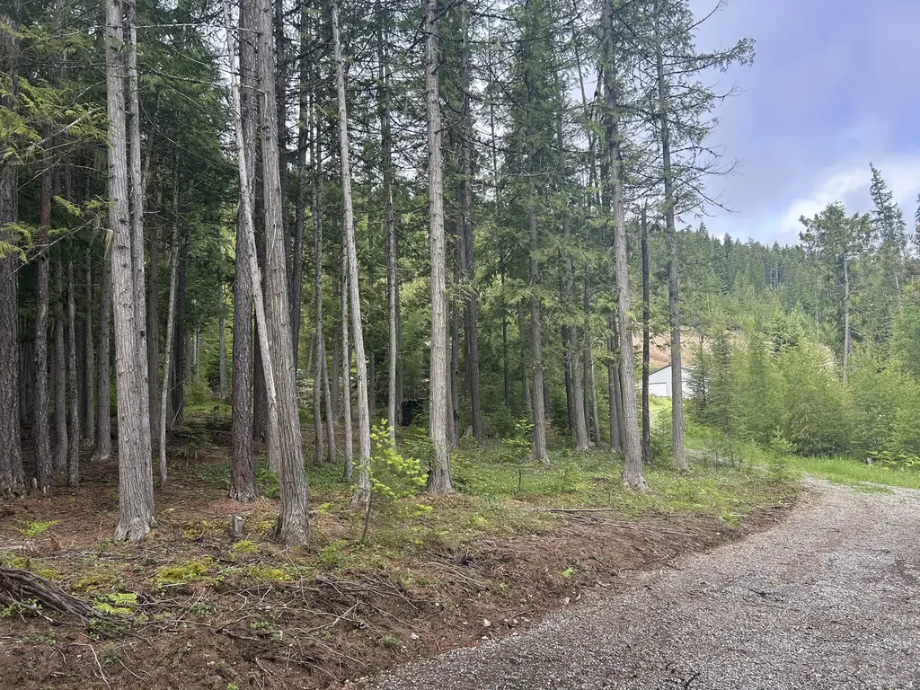 58 Ridge Loop Road Trout Creek MT 59874