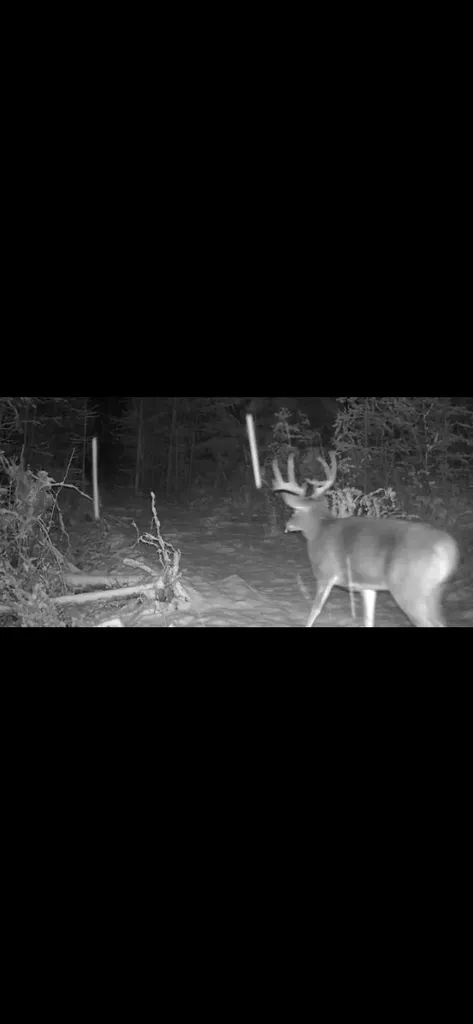 58 Ridge Loop Road Trout Creek MT 59874
