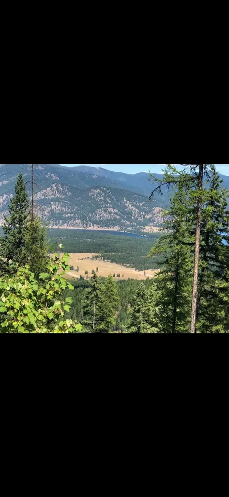 58 Ridge Loop Road Trout Creek MT 59874