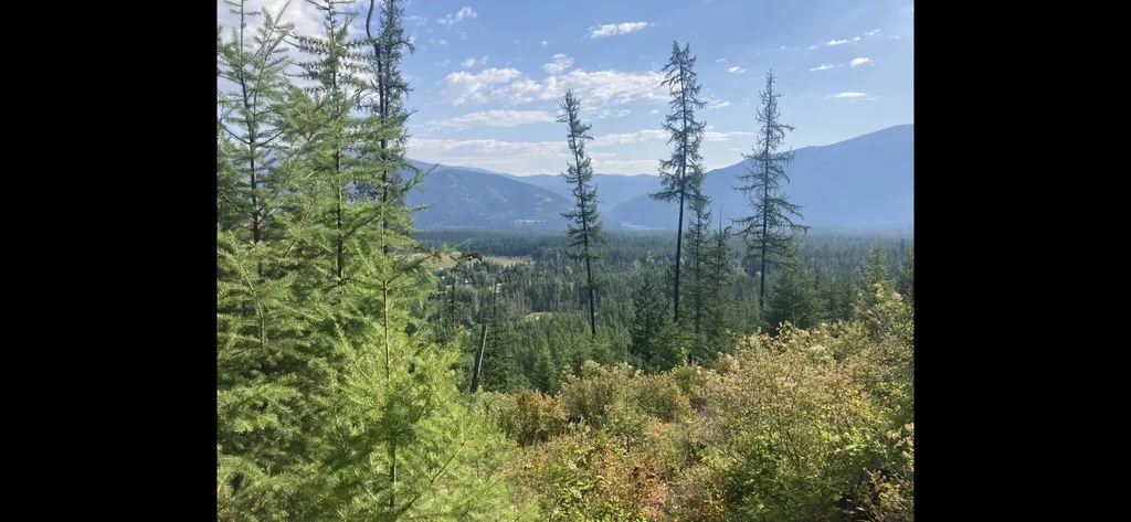 58 Ridge Loop Road Trout Creek MT 59874