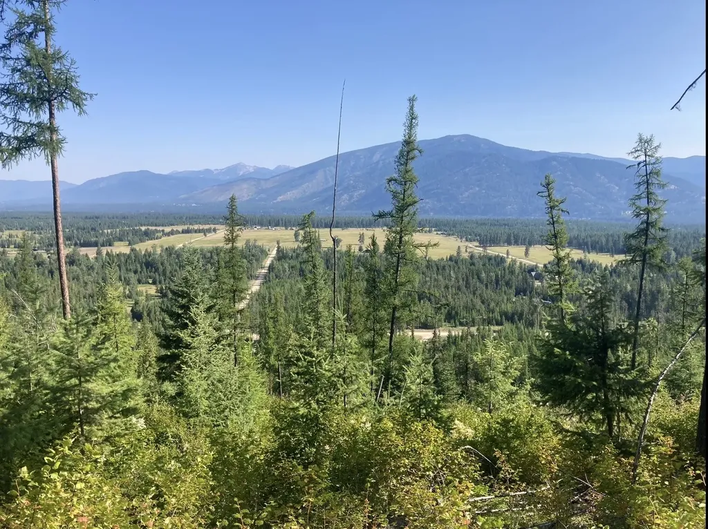 58 Ridge Loop Road Trout Creek MT 59874