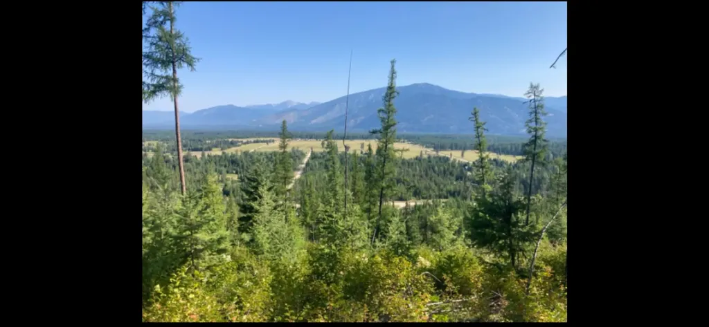 58 Ridge Loop Road Trout Creek MT 59874