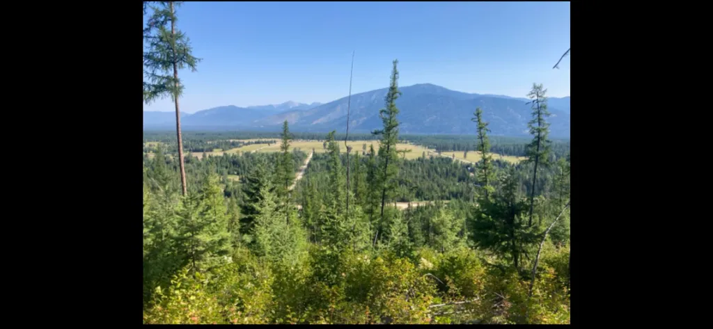 58 Ridge Loop Road Trout Creek MT 59874