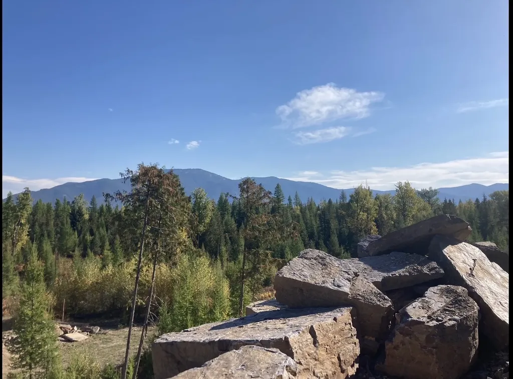 58 Ridge Loop Road Trout Creek MT 59874