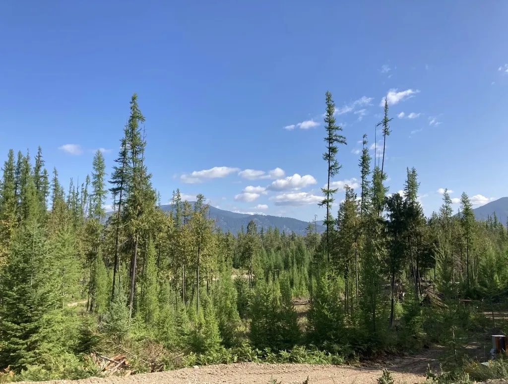58 Ridge Loop Road Trout Creek MT 59874