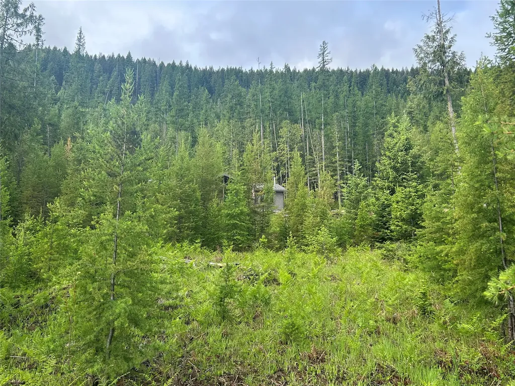 58 Ridge Loop Road Trout Creek MT 59874