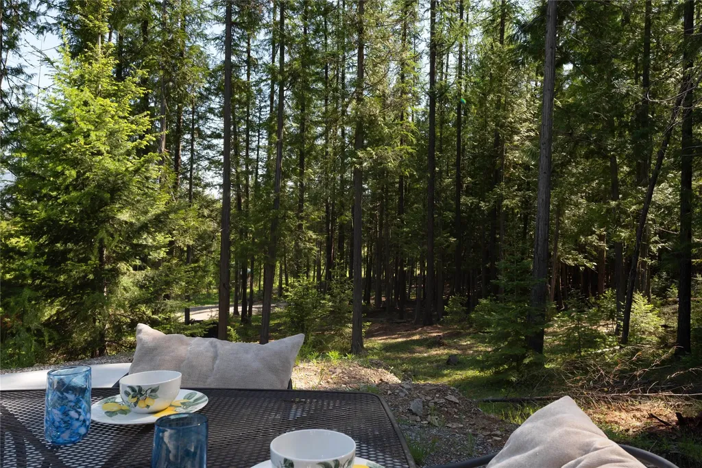 58 Ridge Loop Road Trout Creek MT 59874