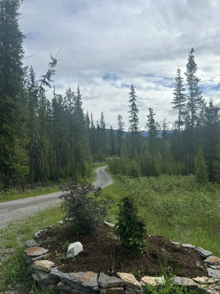 58 Ridge Loop Road Trout Creek MT 59874