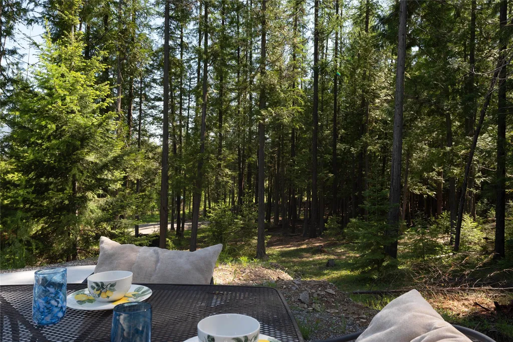 58 Ridge Loop Road Trout Creek MT 59874