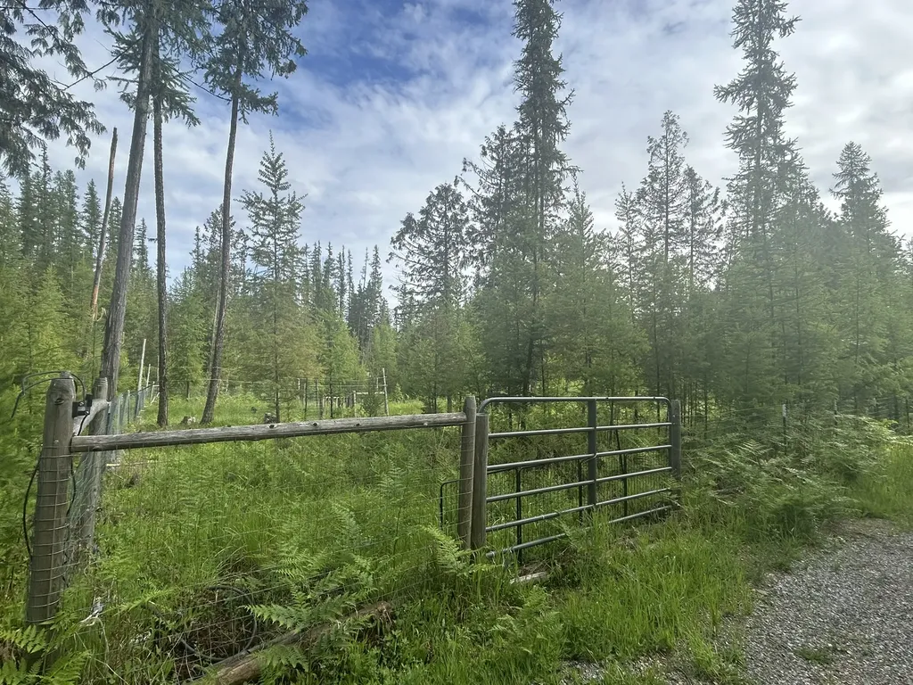 58 Ridge Loop Road Trout Creek MT 59874