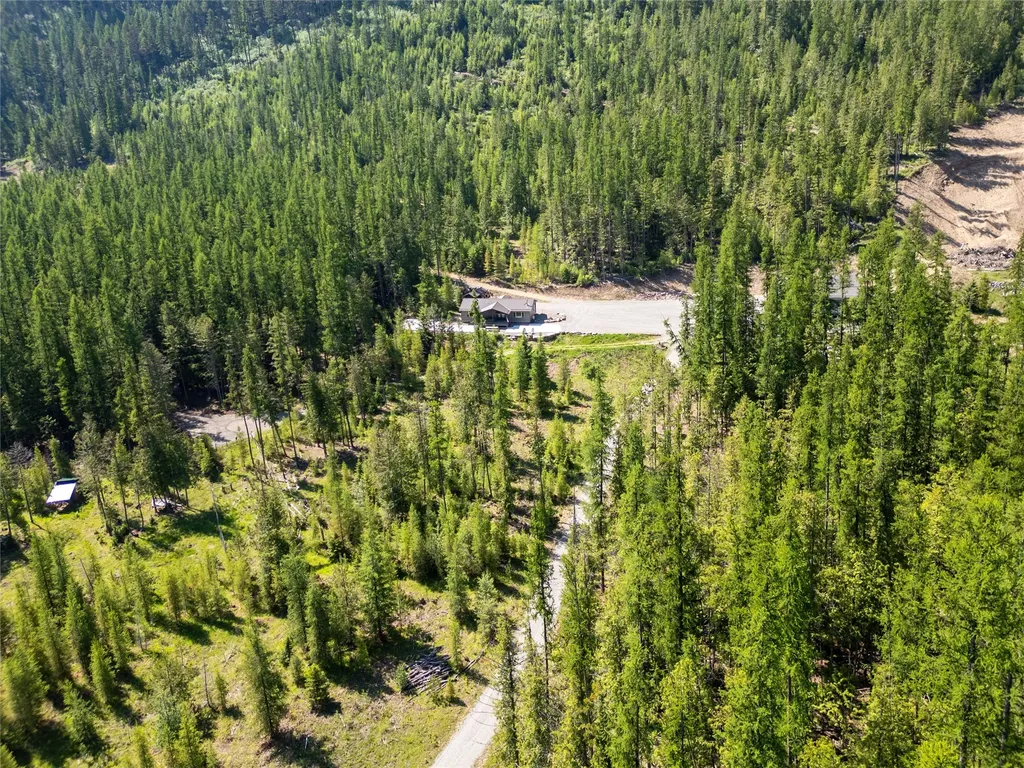 58 Ridge Loop Road Trout Creek MT 59874
