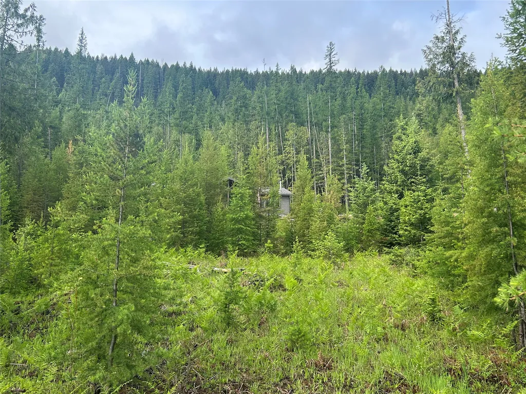 58 Ridge Loop Road Trout Creek MT 59874
