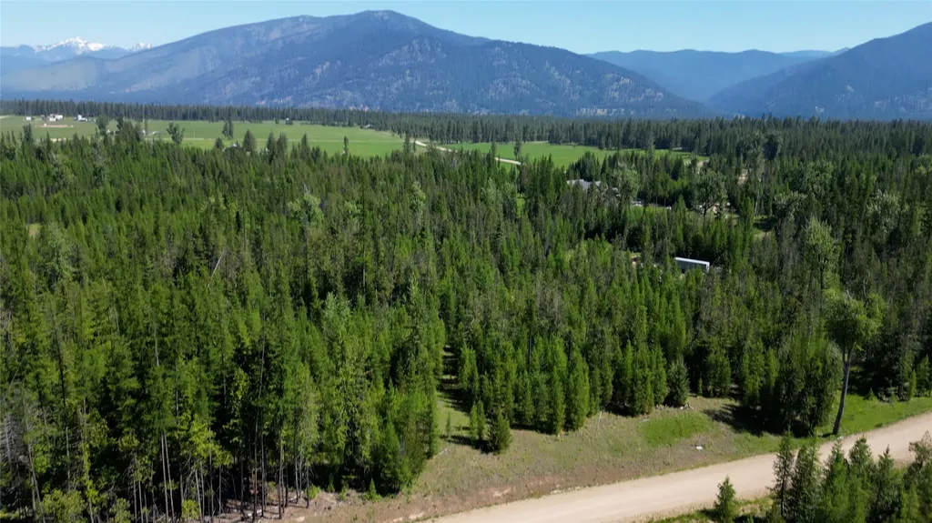 58 Ridge Loop Road Trout Creek MT 59874