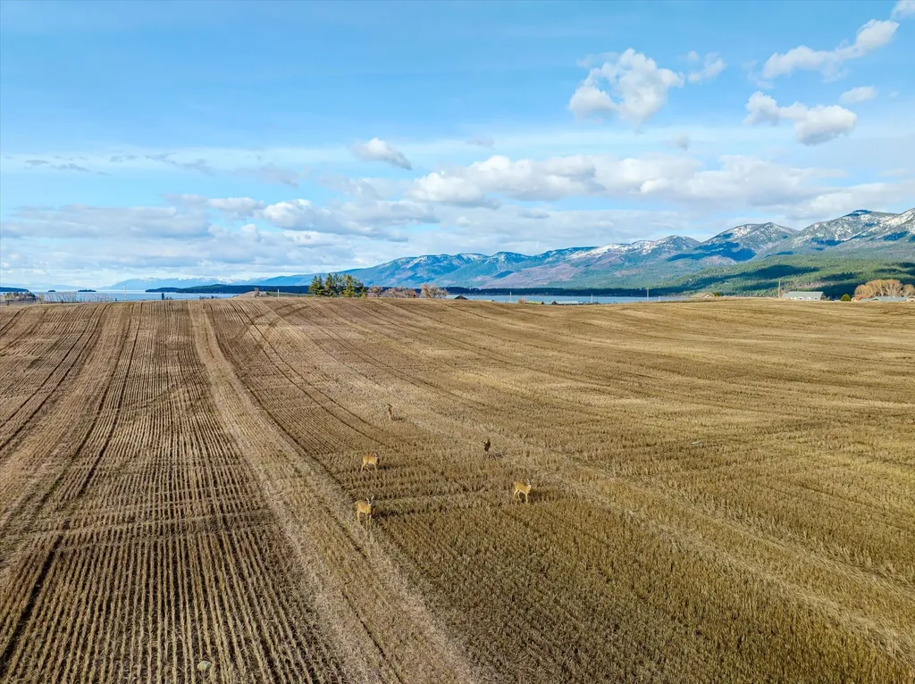 Tract 2 Highway 35 Polson MT 59860