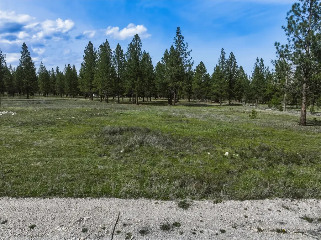 Nhn Mill Creek Road Hamilton MT 59840