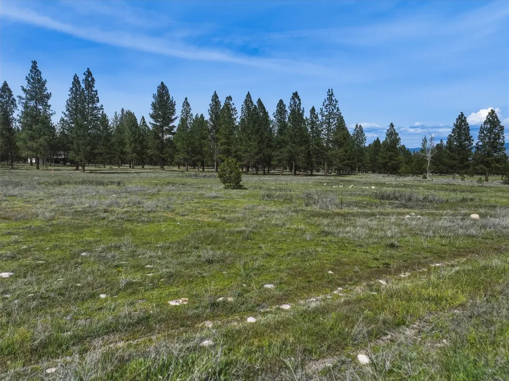 Nhn Mill Creek Road Hamilton MT 59840