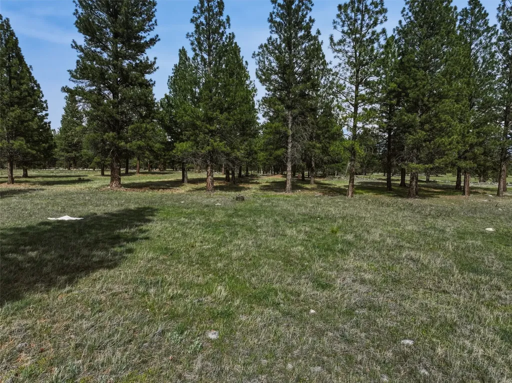 Nhn Mill Creek Road Hamilton MT 59840