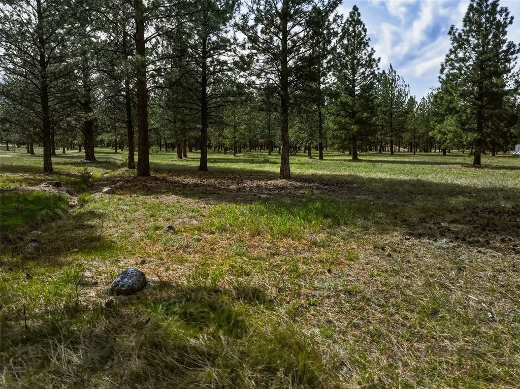 Nhn Mill Creek Road Hamilton MT 59840