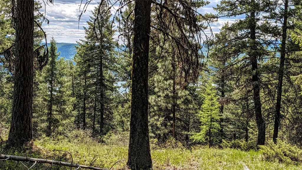 Nhn Eagle Rock Road Whitefish MT 59937