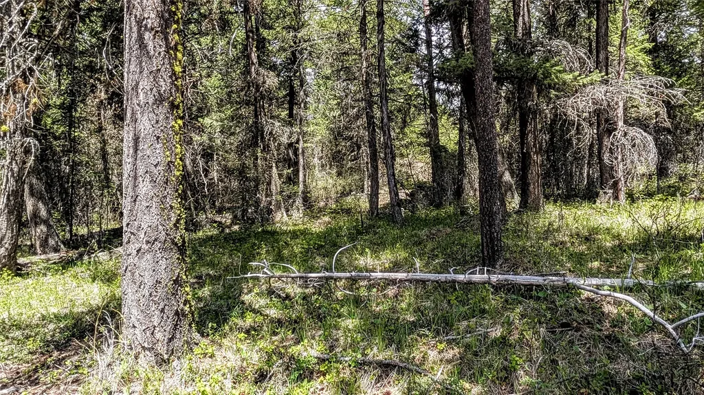 Nhn Eagle Rock Road Whitefish MT 59937