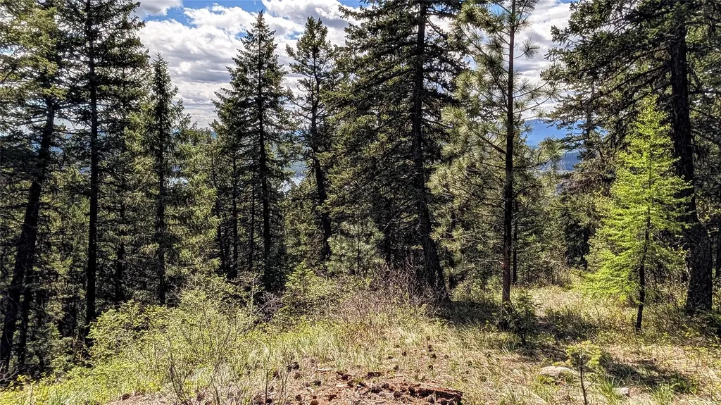 Nhn Eagle Rock Road Whitefish MT 59937