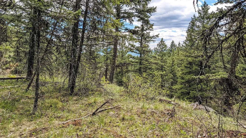 Nhn Eagle Rock Road Whitefish MT 59937