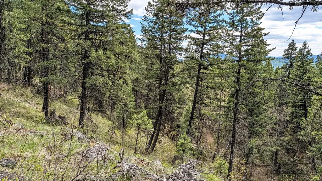 Nhn Eagle Rock Road Whitefish MT 59937