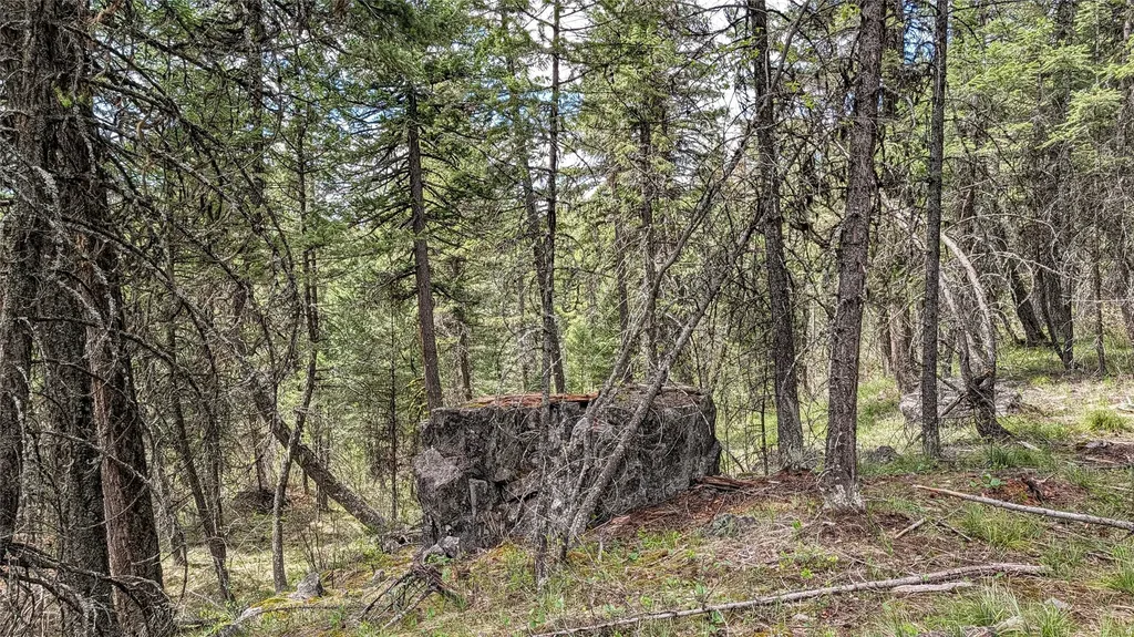 Nhn Eagle Rock Road Whitefish MT 59937