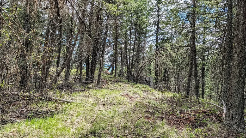 Nhn Eagle Rock Road Whitefish MT 59937