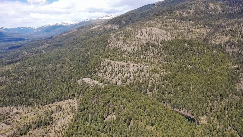 Nhn Eagle Rock Road Whitefish MT 59937