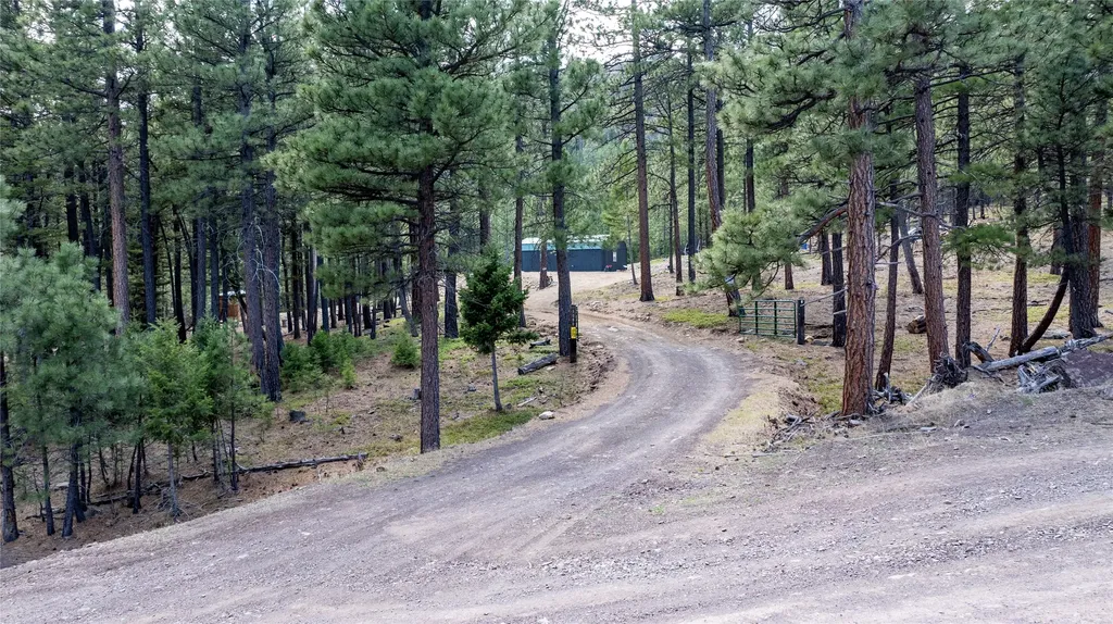 3080 Allen Gulch Road Wolf Creek MT 59648
