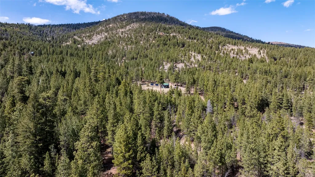 3080 Allen Gulch Road Wolf Creek MT 59648