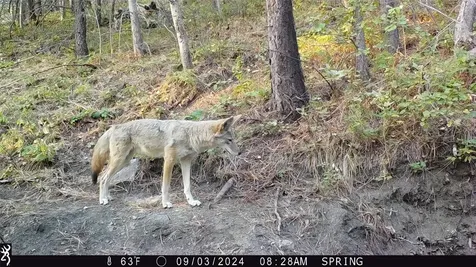 3080 Allen Gulch Road Wolf Creek MT 59648