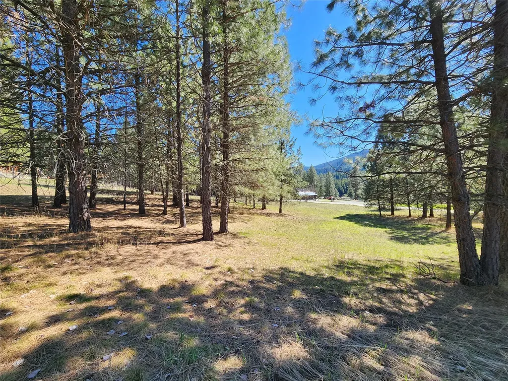 Lot 1 River Road Troy MT 59935