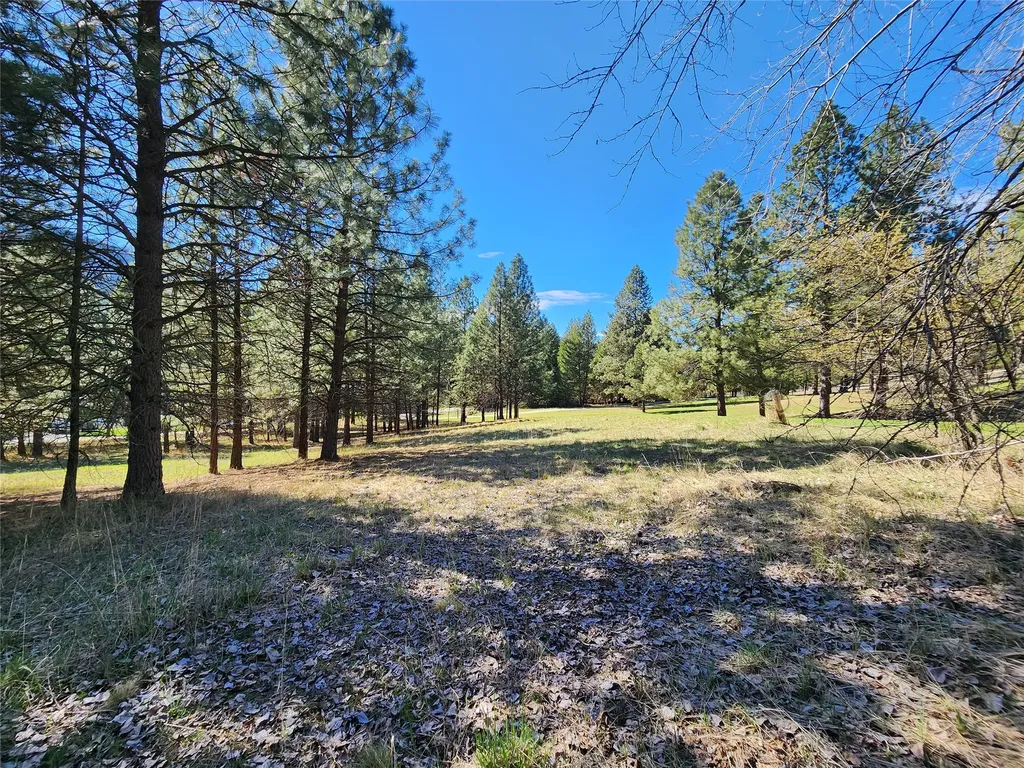 Lot 1 River Road Troy MT 59935