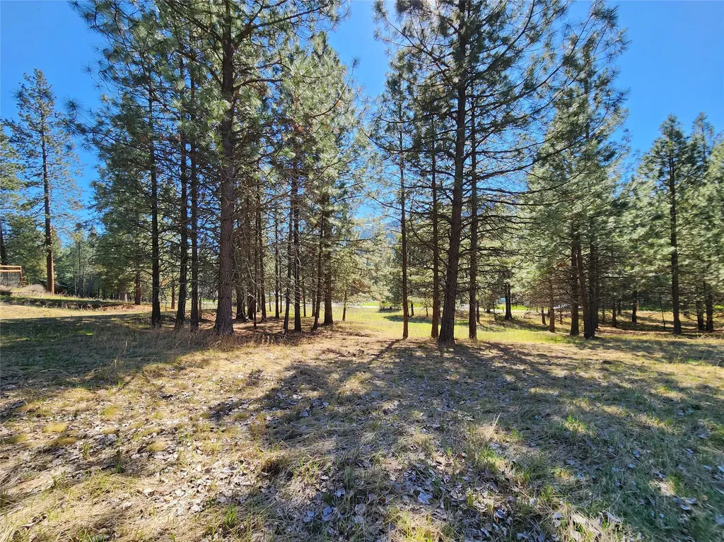 Lot 1 River Road Troy MT 59935