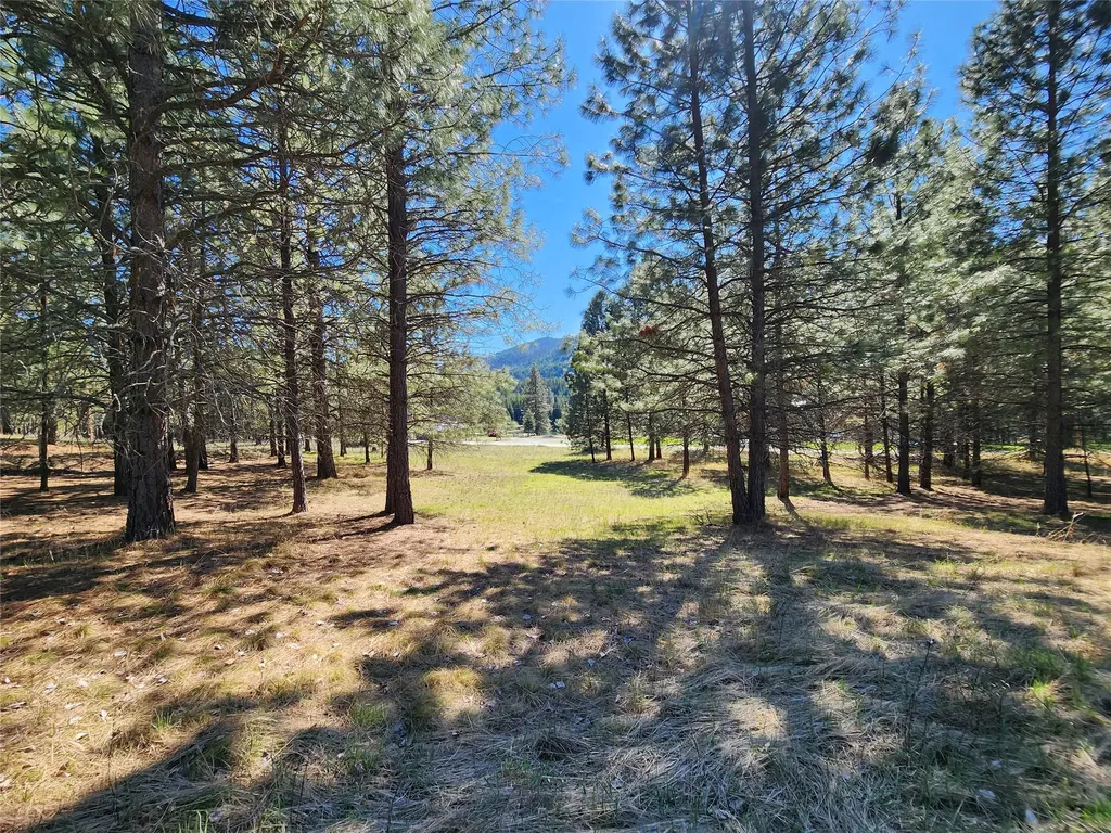 Lot 1 River Road Troy MT 59935