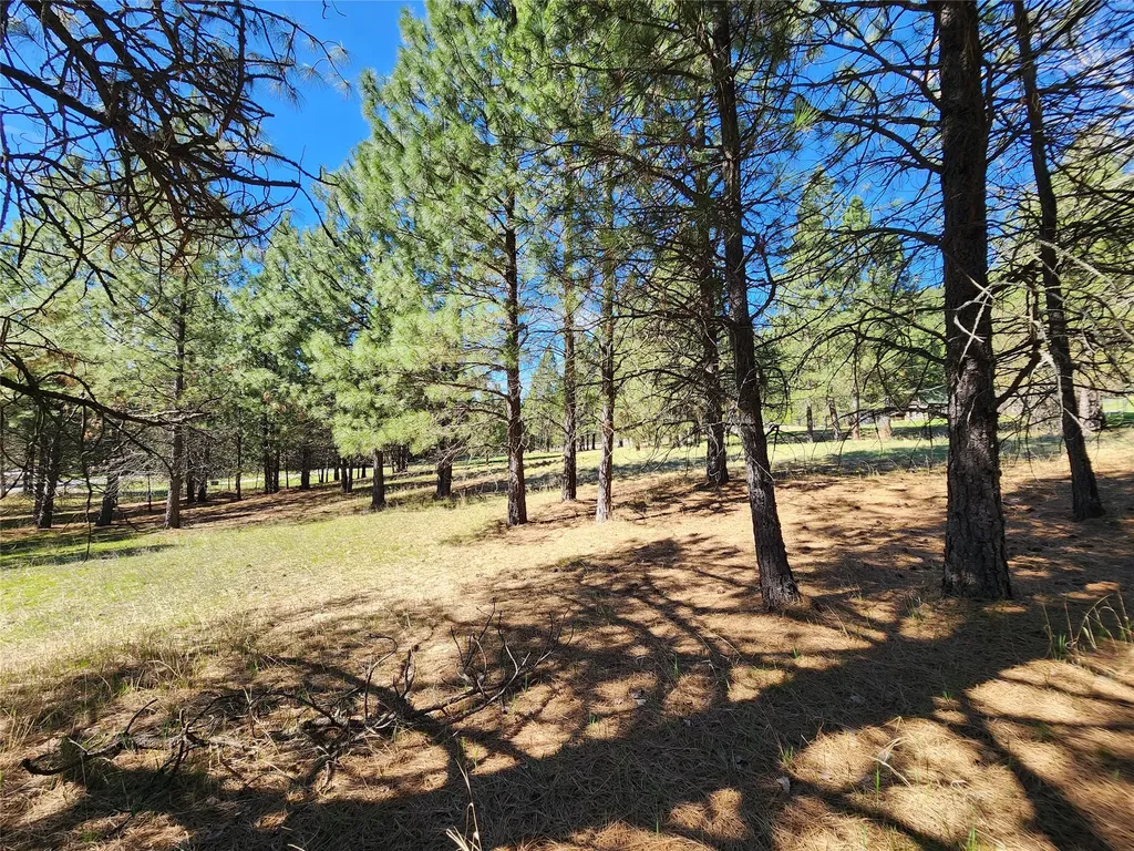 Lot 1 River Road Troy MT 59935