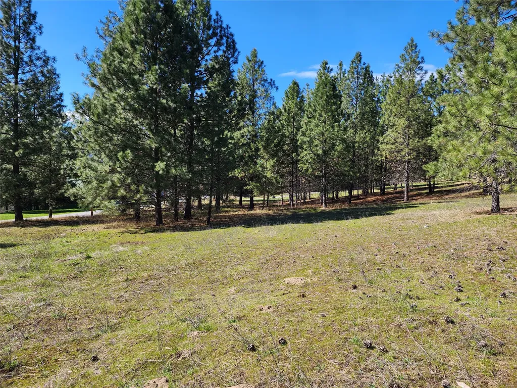 Lot 1 River Road Troy MT 59935