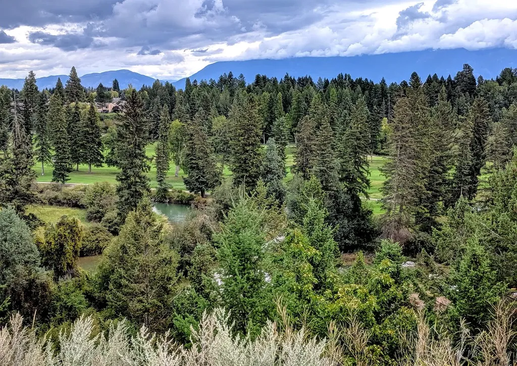248 Juniper Bend Drive Kalispell MT 59901