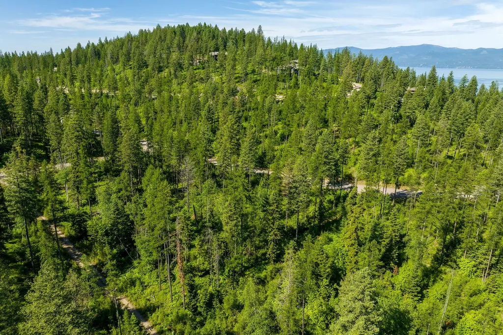 139 Timberjack Trail Bigfork MT 59911