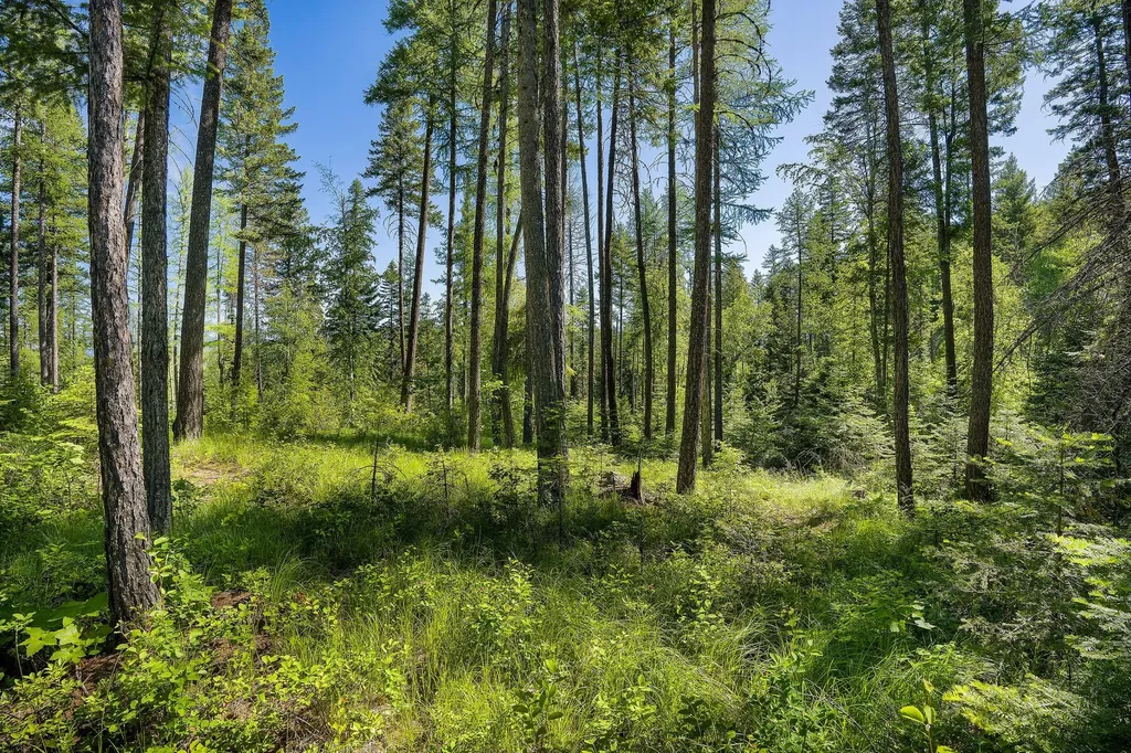 139 Timberjack Trail Bigfork MT 59911