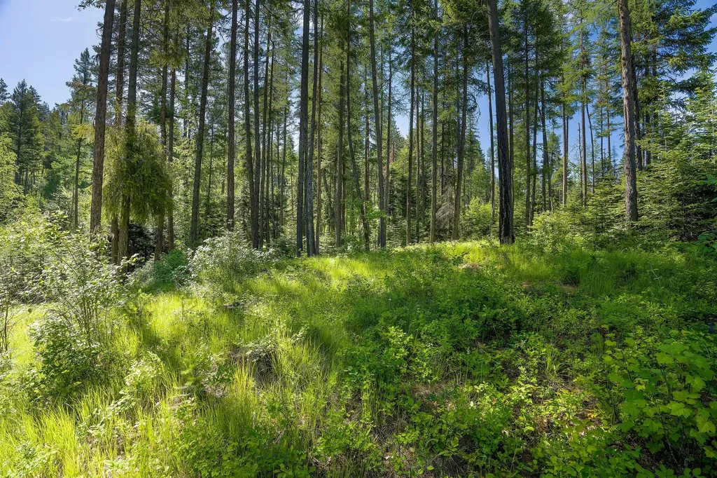 139 Timberjack Trail Bigfork MT 59911