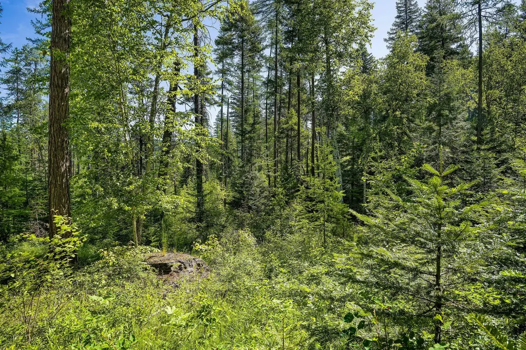 139 Timberjack Trail Bigfork MT 59911