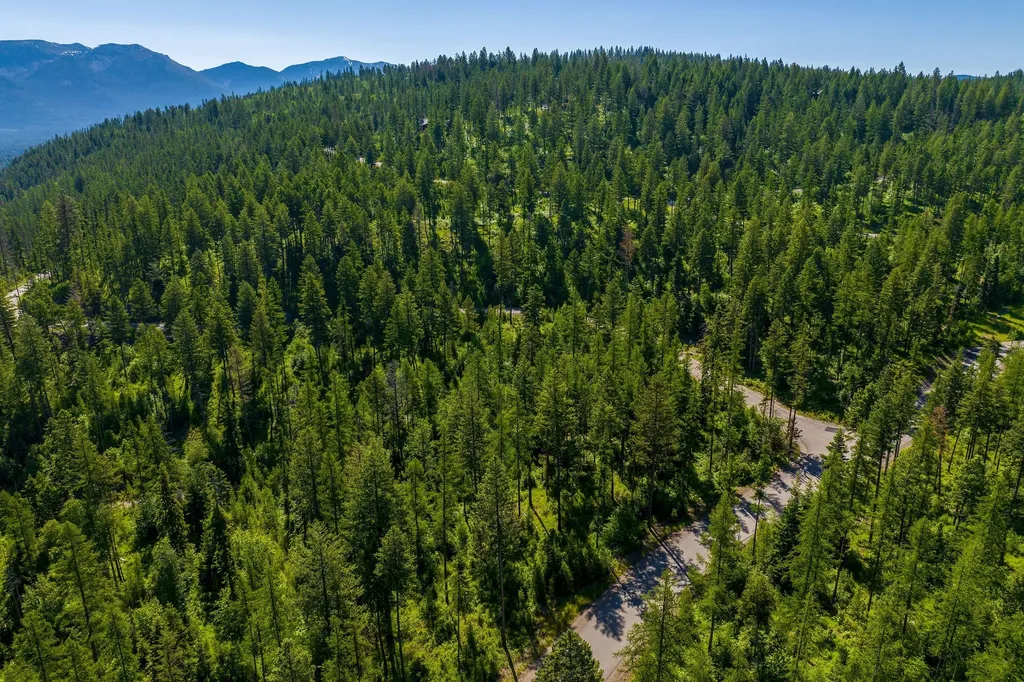 139 Timberjack Trail Bigfork MT 59911