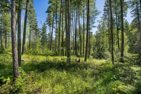 139 Timberjack Trail Bigfork MT 59911