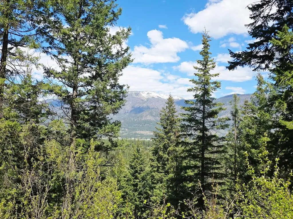 93 Wapiti Point Road Thompson Falls MT 59873