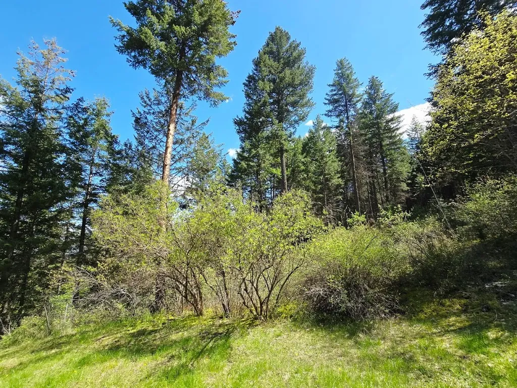 93 Wapiti Point Road Thompson Falls MT 59873